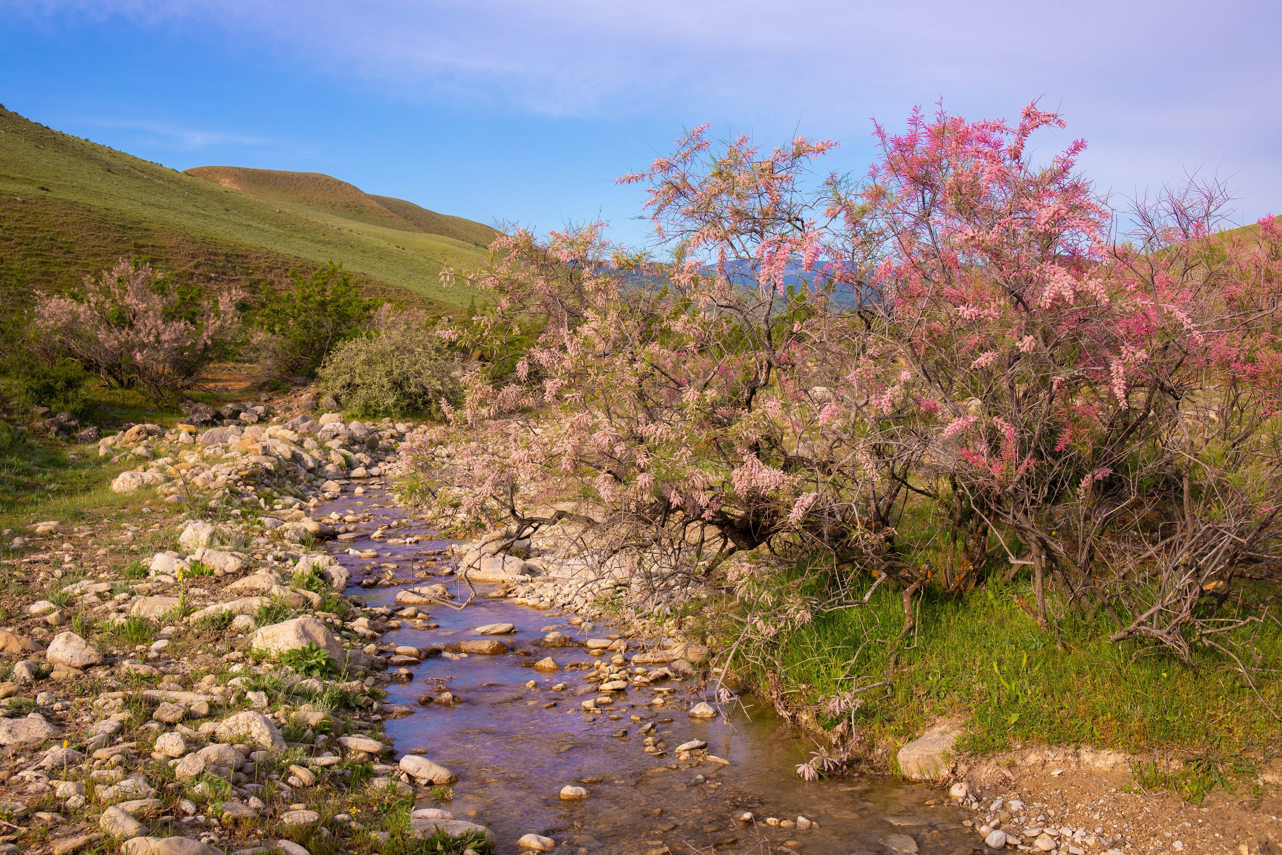 Azerbaijan adopts National Water Strategy to promote integrated water management 